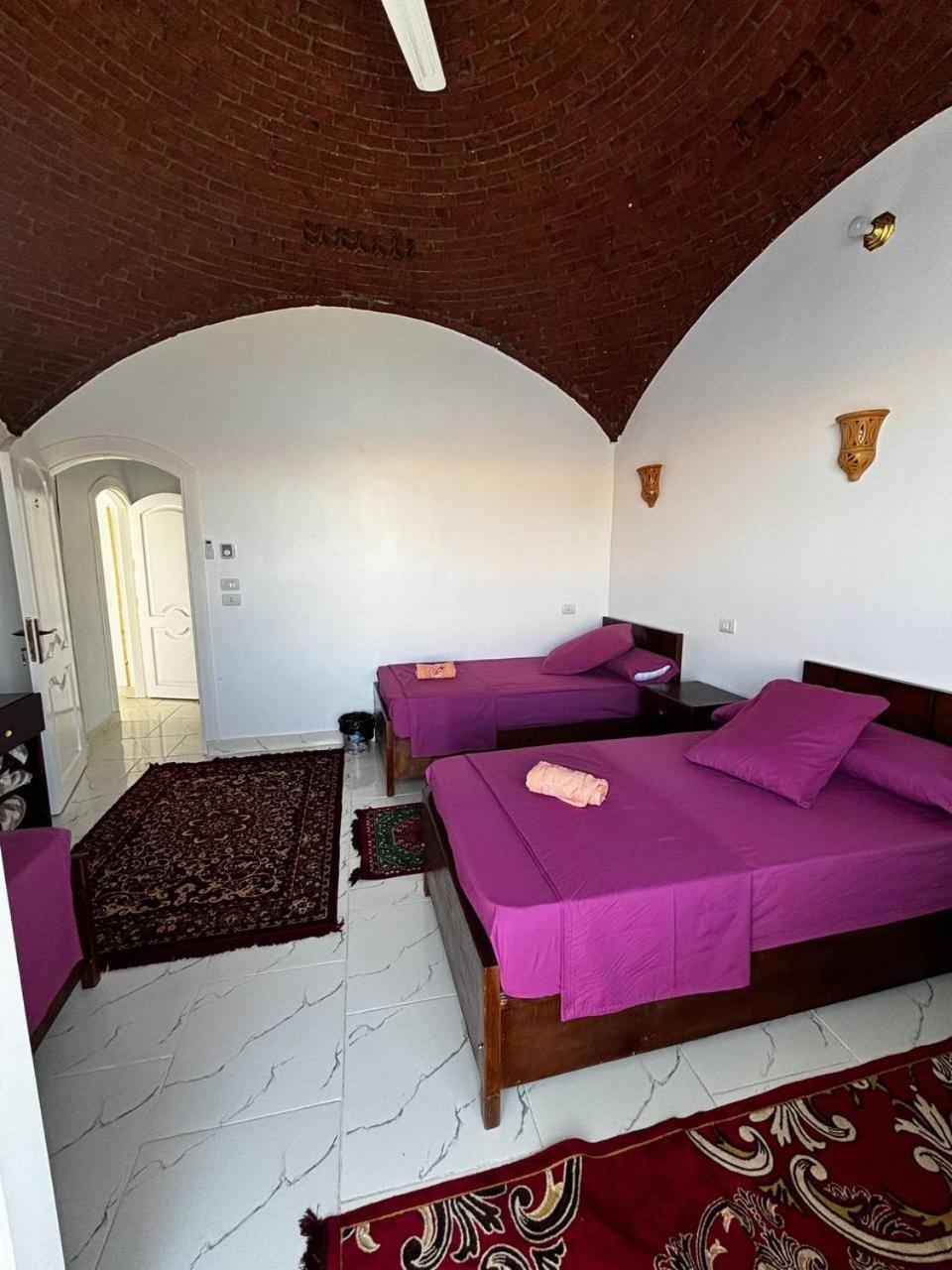 Nile View Guest House Aswan Exterior photo